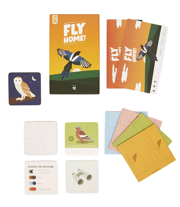 Play Fly Home!