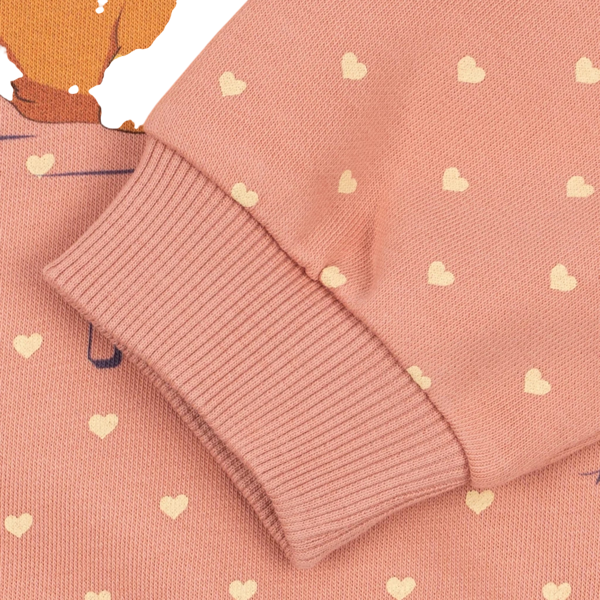 Sweatshirt Spotty Coeur Feathers