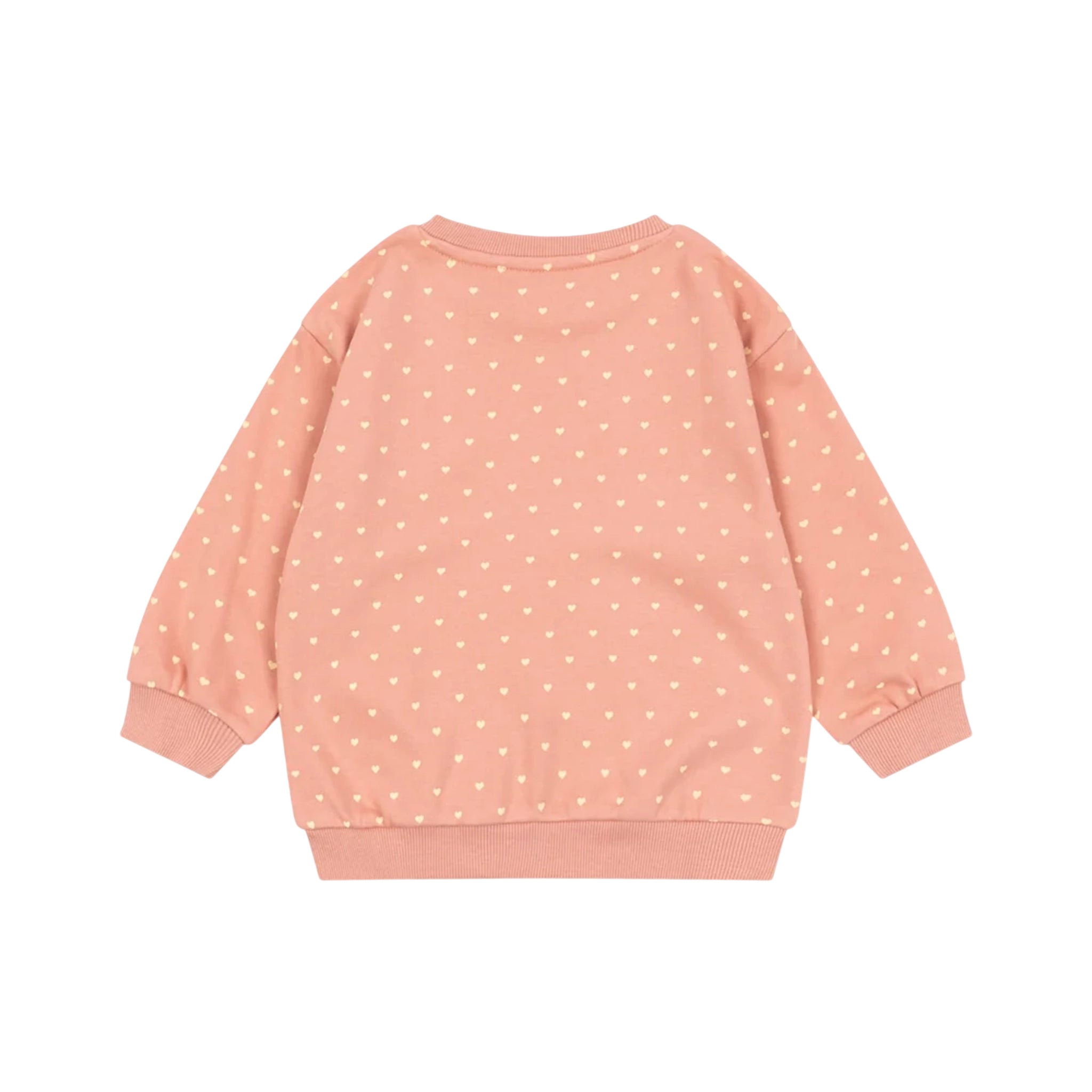 Sweatshirt Spotty Coeur Feathers