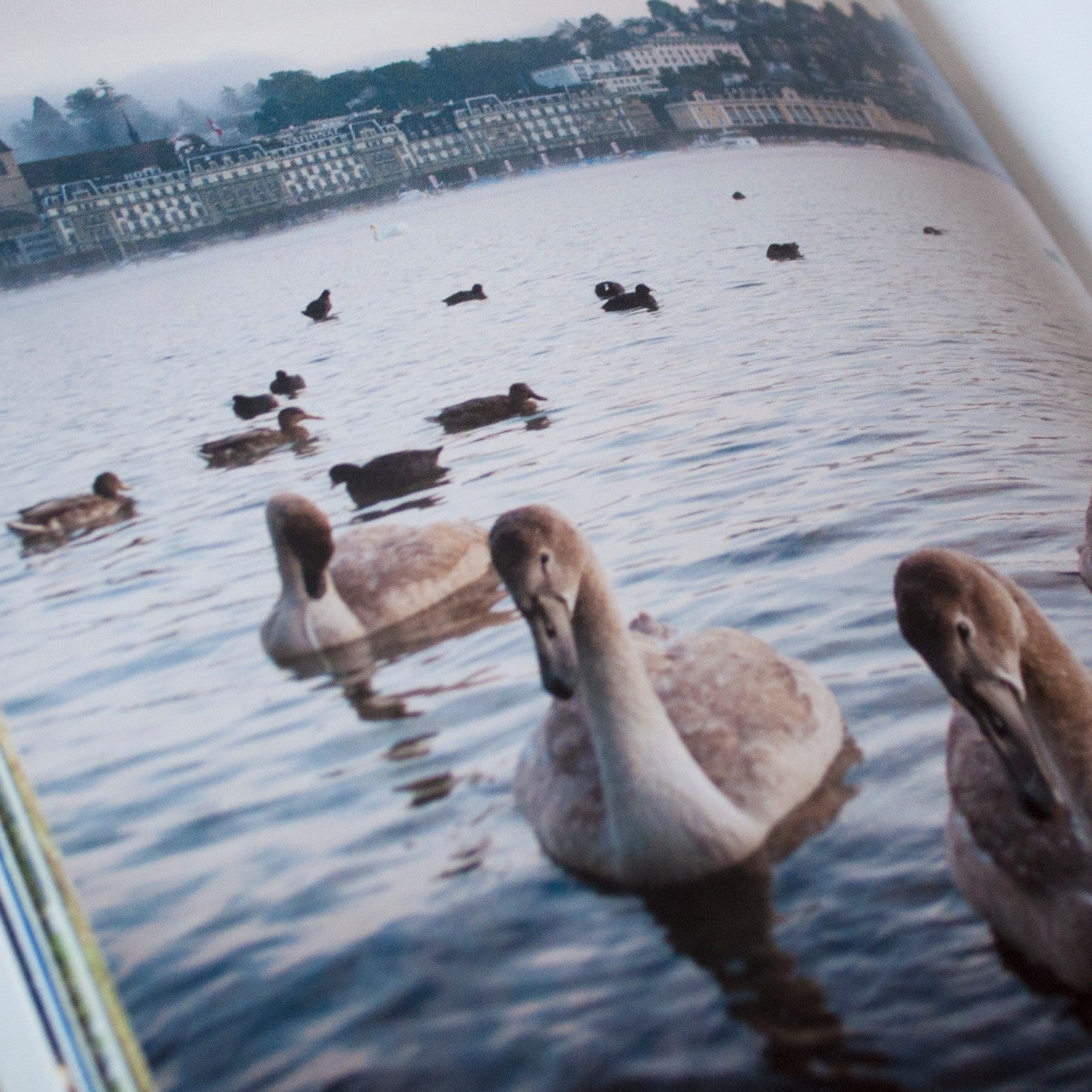 Livre 26 choses à voir absolument en Suisse FR
