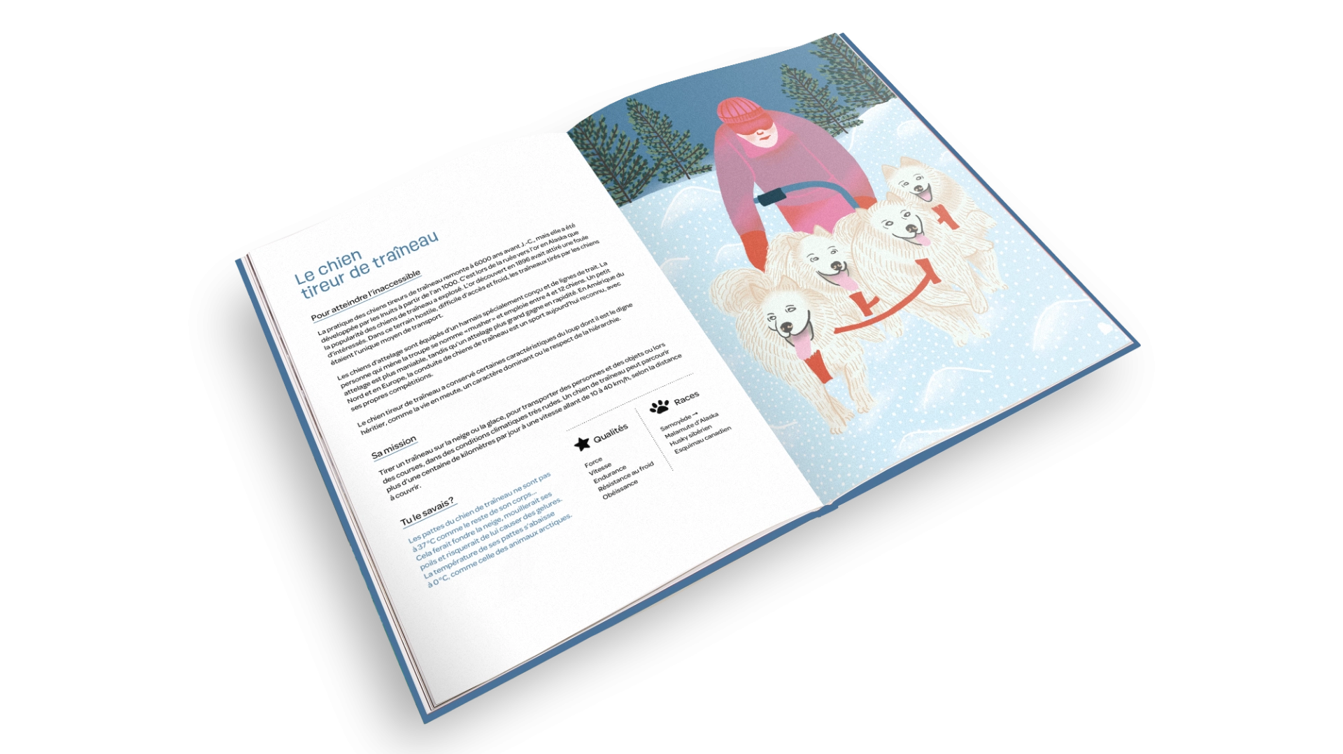 Livre Jobs de Woufs FR