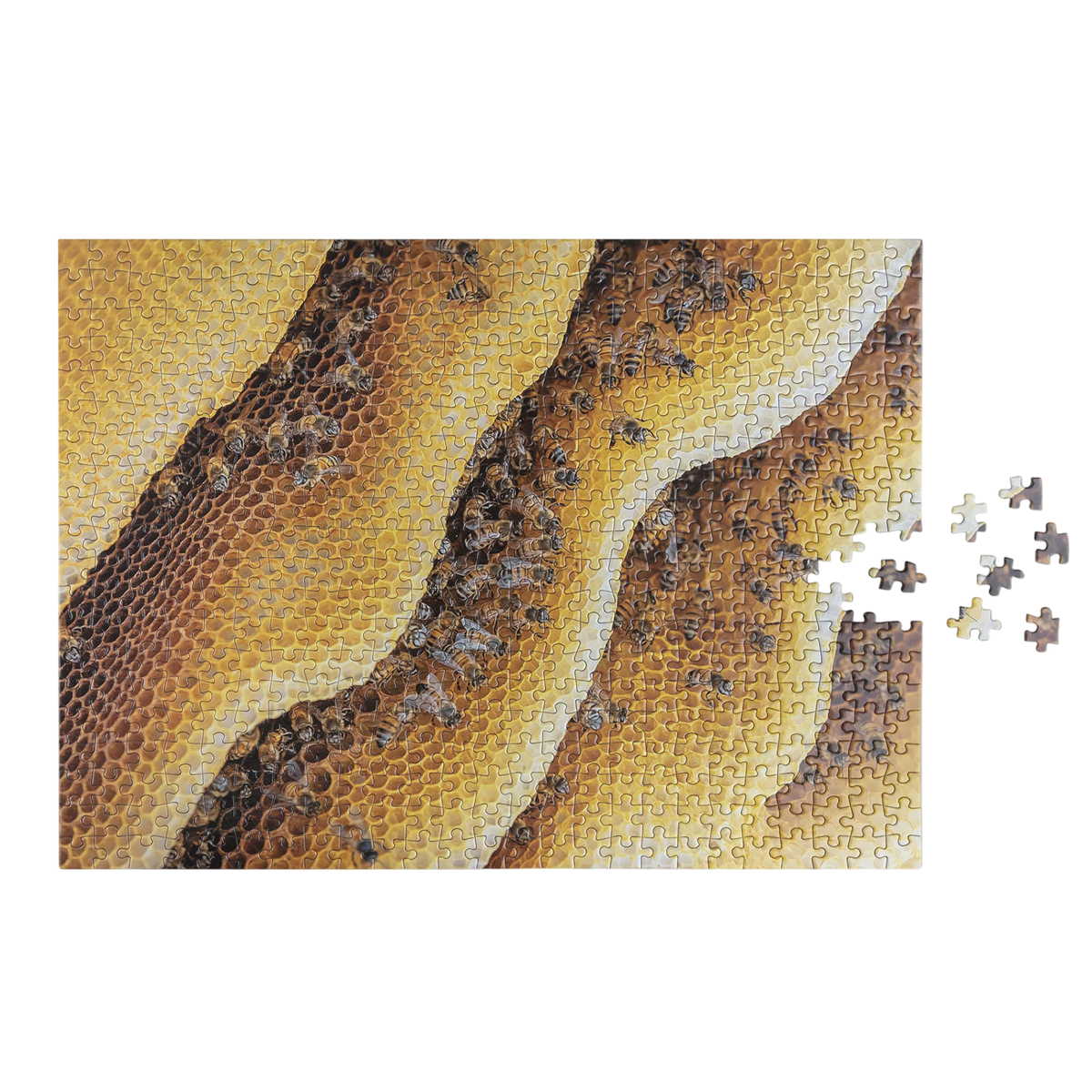 Puzzle Bees