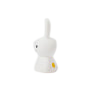 Miffy Shines