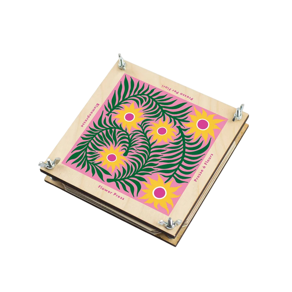 Presse à fleurs – Cardère
