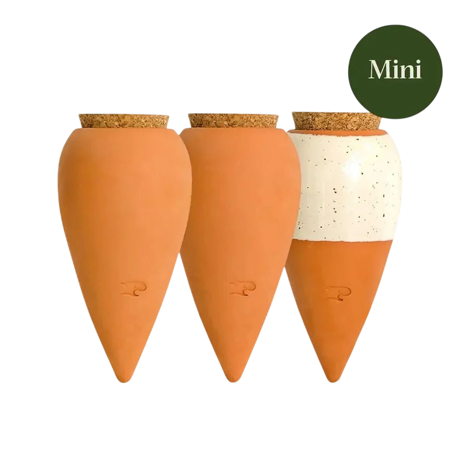 Trio Mini Ollas