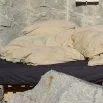 Leon Mineral pillowcase 65x100 cm Soya - lavie
