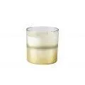 Villa Collection Scented Candle Eucalyptus Mint