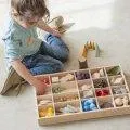 Storage and Sorting Box Tinker Tray