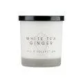 Scented candle Krok White Tea Ginger