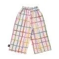 Pantalon Grid Multicolore