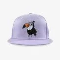 Toucan Do It Snapback Cap Purple