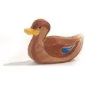 Ostheimer duck swimming wood