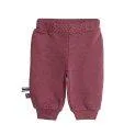 Baby Sweatpants Organic Bordeaux - Chinos and joggers are perfect for everyday life and always fit | Stadtlandkind
