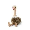 Ostrich sitting (35cm) - Cuddly animals, the best friends of your children | Stadtlandkind