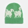 Cap Diobo Pea - Hats and beanies in various designs and materials | Stadtlandkind