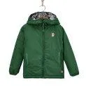 PrimaLoft Jacke Neo Mountain Green - Vestes et manteaux d'hiver excitants pour une touche de couleur dans la saison grise. | Stadtlandkind