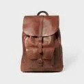 Backpack Brown