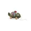 Fabric pull-along animal Carley the chameleon - Pull-along toys for the little ones | Stadtlandkind