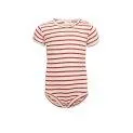 Baby Body Buddy Silk Poppy Stripes - Bodies for the layered look or alone as a summer outfit | Stadtlandkind