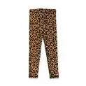 Leggings UPF 50+ Coco Leopard Caramel - Swim shorts and trunks for your kids - with the cool designs bathing fun is guaranteed | Stadtlandkind