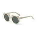Lunettes de soleil Darla mr bear Sandy - Des lunettes de soleil - un must-have pour chaque saison | Stadtlandkind