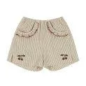 Shorts Ellie Gots Tea Stripe - Hosen für deine Kinder zu jedem Anlass - ob kurz, lang, aus Denim oder Bio-Baumwolle | Stadtlandkind