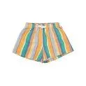 Swimming trunks Stripes Multicolor - Swim shorts and trunks for your kids - with the cool designs bathing fun is guaranteed | Stadtlandkind