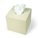 Kleenex-Cover Box Station de mouchoirs en papier érable blanc - Objets décoratifs et pratiques pour la maison | Stadtlandkind