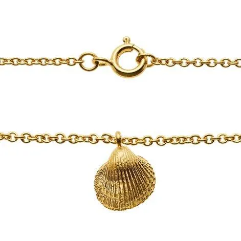 Collier mit 8 Carneol Steinen und Muschel Anhänger, vergoldet - Jewels For You by Sarina Arnold
