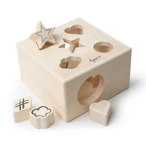 Puzzle Box - Kynee