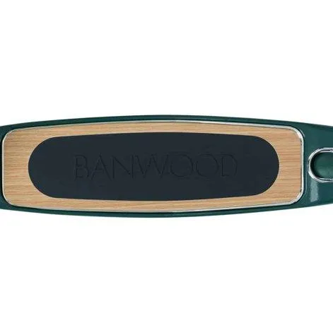 Maxi Scooter Green - Banwood