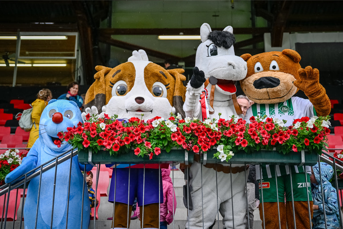 Gewinne Tickets für den Longines CSIO St. Gallen 2026