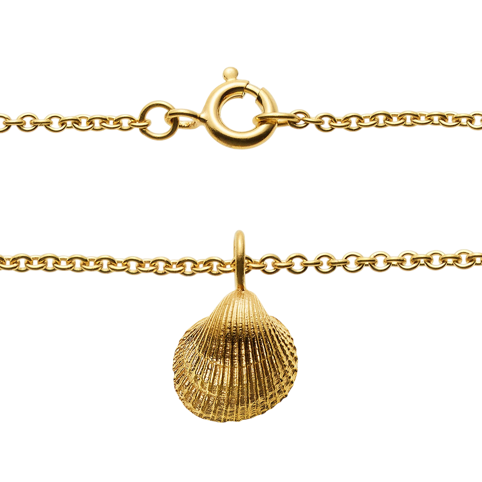 Collier 50cm doré avec pendentif coquillage