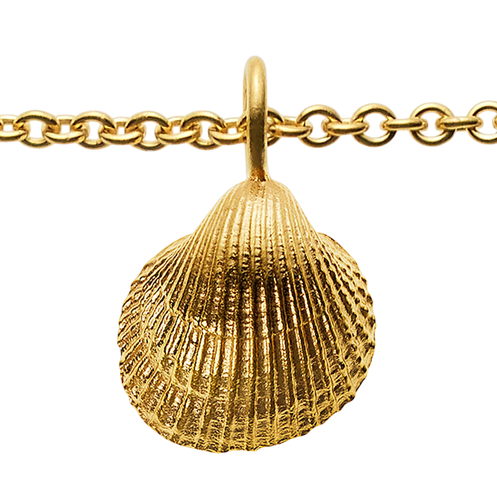 Collier 50cm doré avec pendentif coquillage