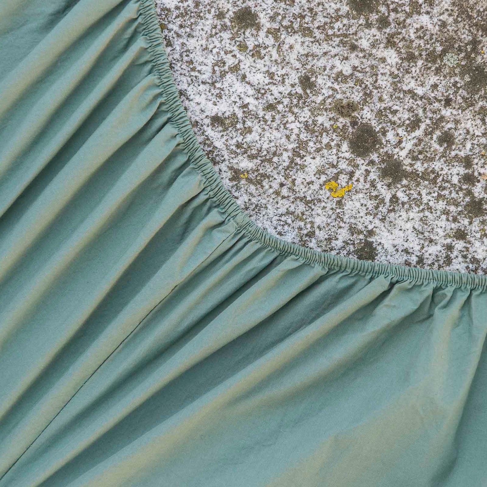 Lakan uni, fichtengrün Fixleintuch 90x200+30 cm