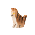 Trauffer cat Barney