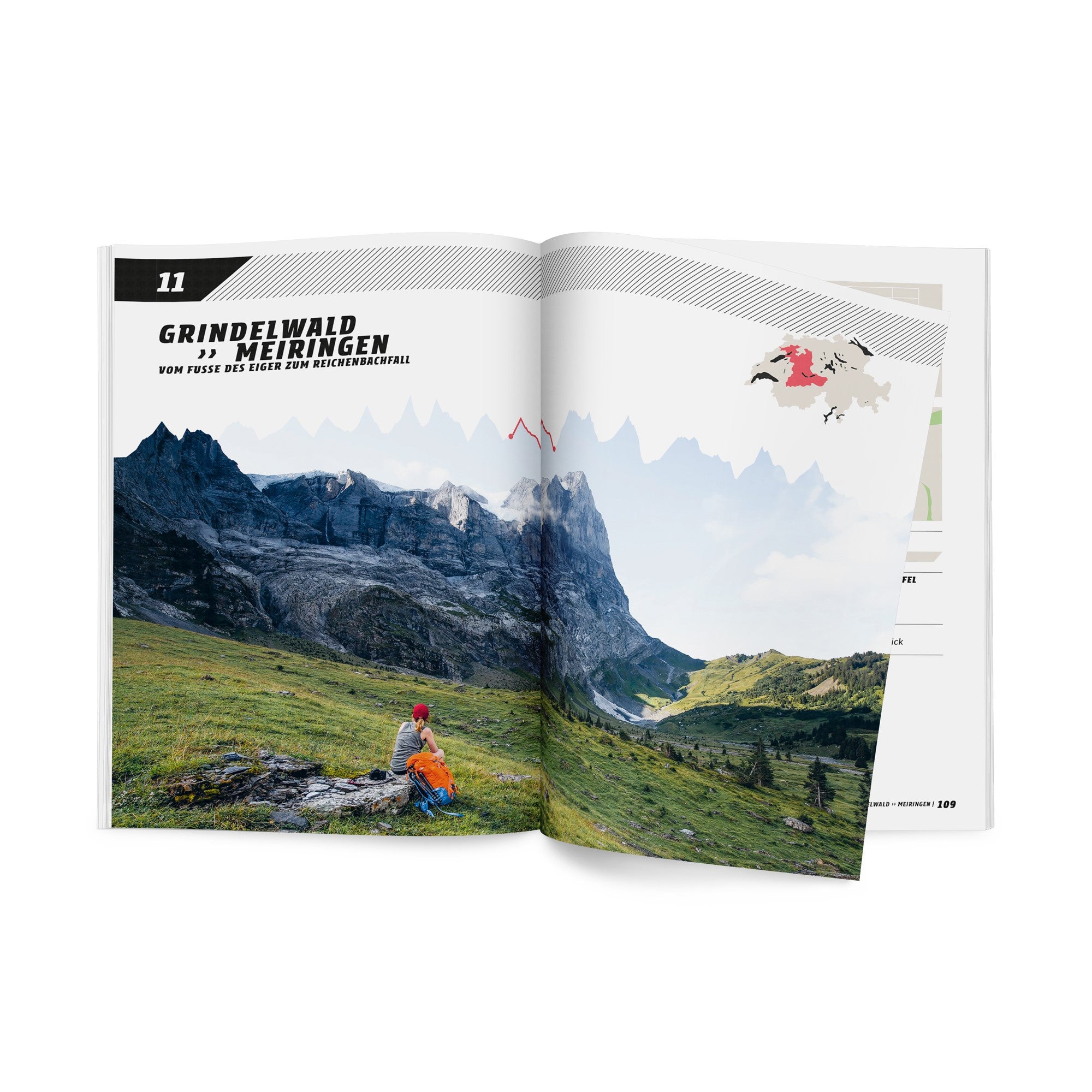 Livre Via Alpina FR