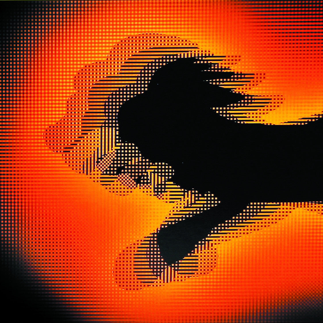 Circus (livre moiré)