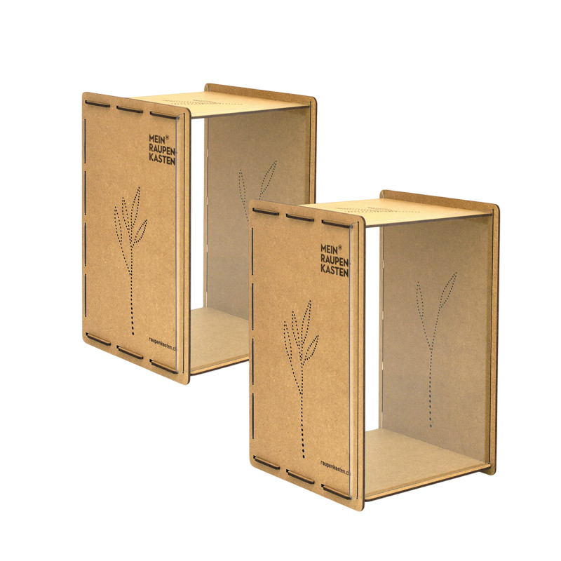 Klassensatz Raupen - Schmetterling