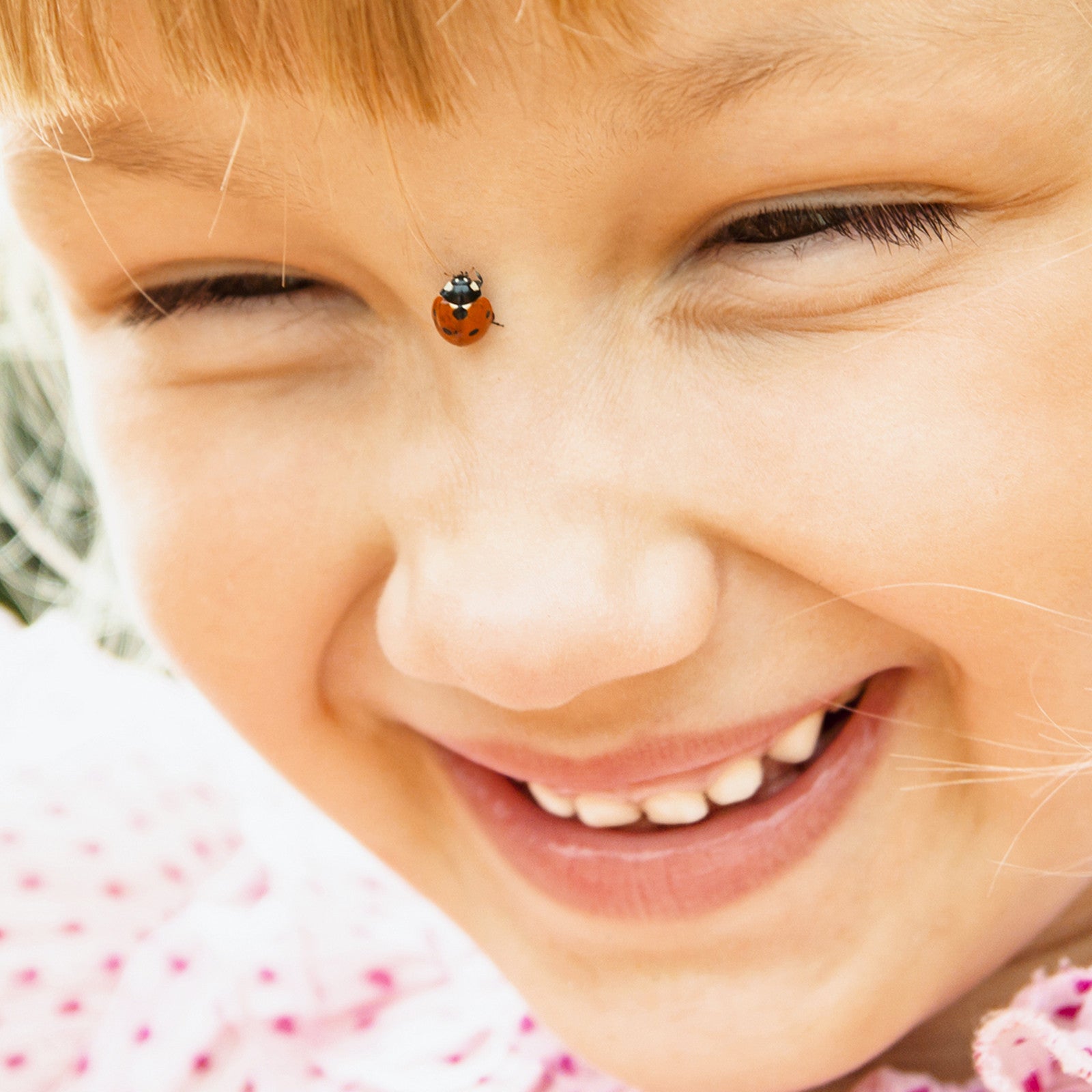 Maison des coccinelles