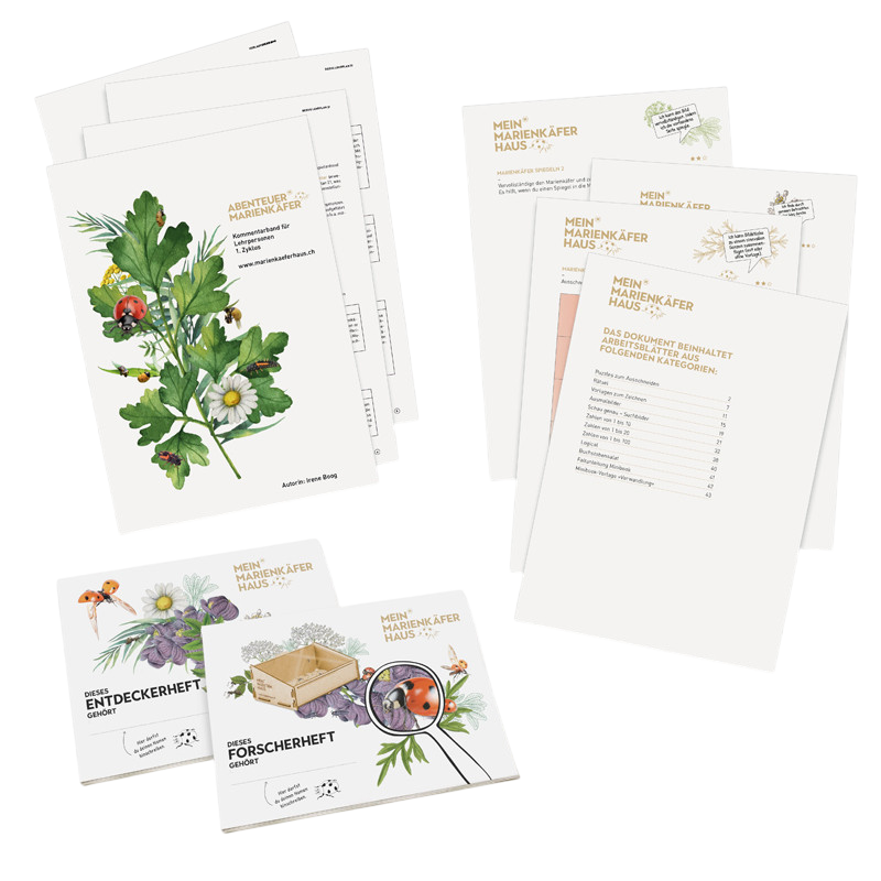 Klassensatz Marienkäfer