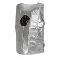 Knight's armor silver