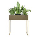 Nevi the plantbox Olivgrün, Gold L