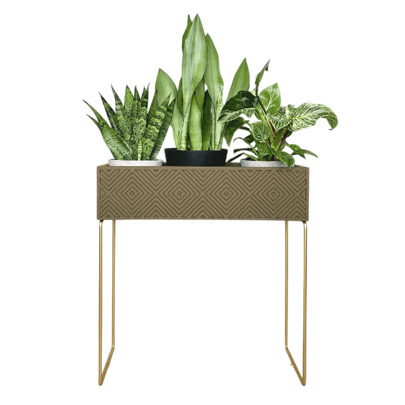 Nevi the plantbox Olivgrün, Gold L