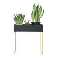 Nevi the plantbox Schwarz, Gold L