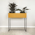 Nevi the plantbox Senfgelb, Schwarz L