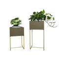 Nevi the plantbox Olivgrün, Gold M