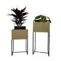 Nevi the plantbox Olivgrün, Schwarz M