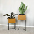 Nevi the plantbox Senfgelb, Schwarz M