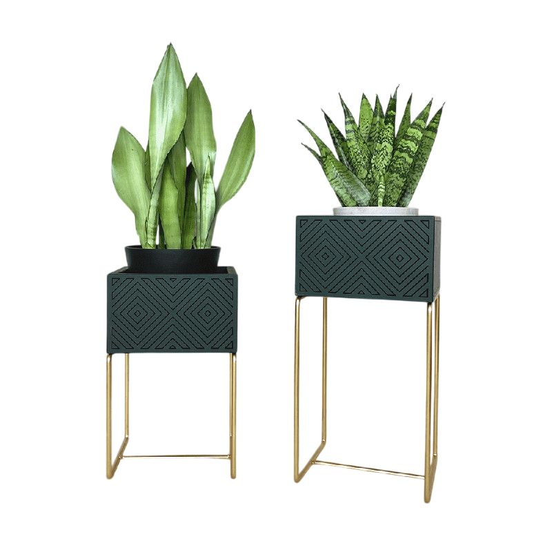 Nevi the plantbox vert sapin, or M